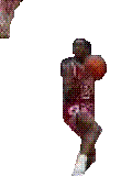 basket9.gif (25721 octets)