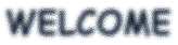 bienvenue3.gif (2778 octets)