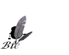 bienvenue4.gif (6003 octets)