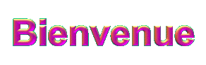bienvenue8.gif (36058 octets)