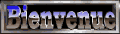 bienvenue9.gif (8488 octets)