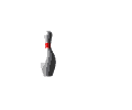 bowling2.gif (7362 octets)